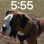 Profile Picture of William Farro (@Meat2J) on Facebook