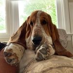 Profile Picture of Sir Clarence Montgomery (@sirclarencemontgomery) on Instagram