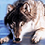 Profile Picture of Jerry Jones (@jachanmars) on Flickr