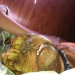 Profile Picture of davidwhitson (@davidwhitson) on Instagram