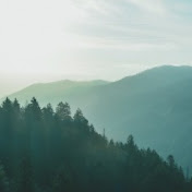 Profile Picture of Vanessa Quinn (@vanessaquinn673) on Youtube