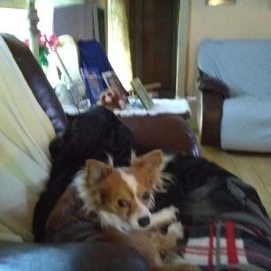 Profile Picture of Carl Farrar (@CarlFarrar5) on Twitter