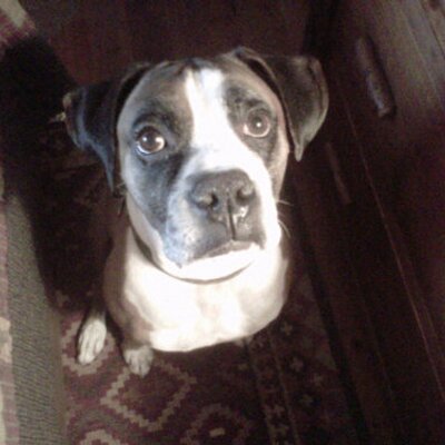 Profile Picture of Mark Stephen Haas (@markstephenhaas) on Twitter