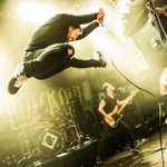 Brian Carelli - Instagram Profile Picture of Brian Carelli (@briancarelli) on Instagram