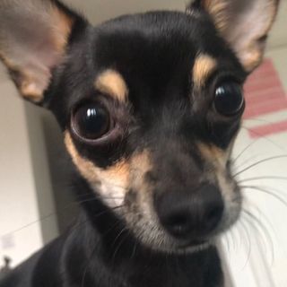 Profile Picture of Brian Bentley (@_brian_bentley) on Instagram