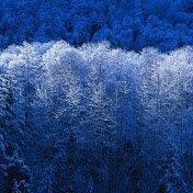 Profile Picture of Dylan Lackey (@dylanlackey7386) on Youtube