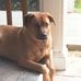 Profile Picture of Harold Randall (@harold.randall.737) on Facebook