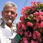 Profile Picture of Harold Copper (@Harold-Copper) on Facebook