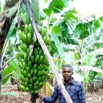 Profile Picture of Lewy Joseph (@lewy_joseph) on Instagram