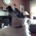 Profile Picture of Ringo Randall (@ringo.randall) on Facebook