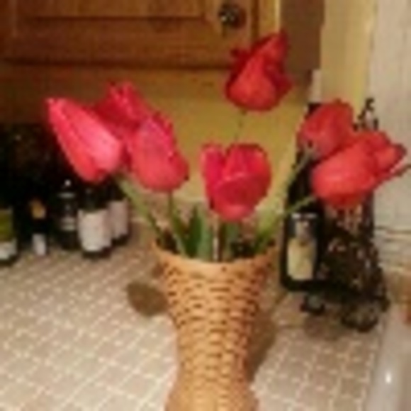 Profile Picture of Ginger Glenn (@gingerg01) on Poshmark