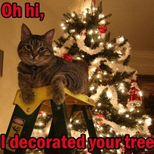 Profile Picture of Jo Ellen Wilson (@355654439) on Myspace