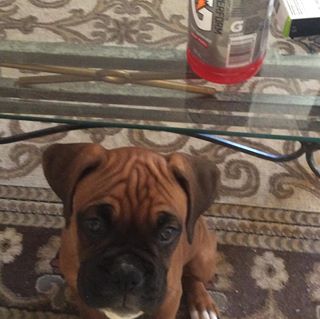 Profile Picture of Robyn Sandham (@Robyn-Sandham) on Facebook