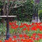 Profile Picture of Michael Fain (@michael.fain) on Instagram