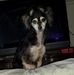 Profile Picture of Julian Fleming (@julian.fleming.902) on Facebook