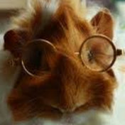Profile Picture of Jesse Potter (@jessepotter365) on Youtube