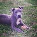 Profile Picture of Nina Honeycutt (@hillbilly265) on Pinterest