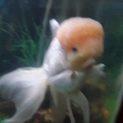 Profile Picture of Dylan Simons (@DylanSi76182192) on Twitter