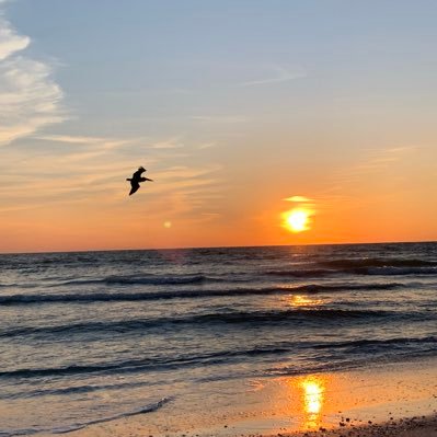 Profile Picture of Cassidy Neff (@CassidyNeff1) on Twitter