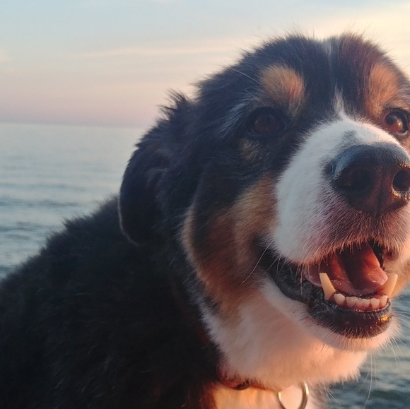 Profile Picture of Sandra Leister (@willowlee612) on Poshmark