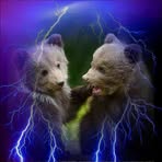 Profile Picture of Cody Littlebear (@cody.littlebear.35) on Facebook