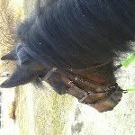 Profile Picture of Jessica (@jessicabilla) on Instagram