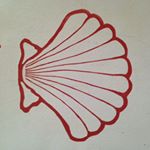 Profile Picture of Sue Dawes (@suedawes234) on Instagram