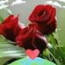 Profile Picture of Hisham Abbas (@Hisham-Abbas) on Facebook