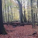 Profile Picture of Peter Hinrichs (@pet.hin) on Instagram