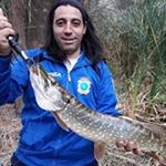 Profile Picture of Jonathan Aceituno (@aceituno_jonathan) on Instagram