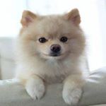 Profile Picture of James hardy (@jameshardy009) on Instagram