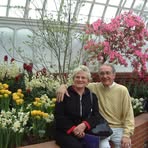 Profile Picture of Alice Kender (@alice.kender) on Facebook