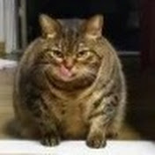 Profile Picture of Matthew Wolcott (@matthewwolcott5984) on Youtube