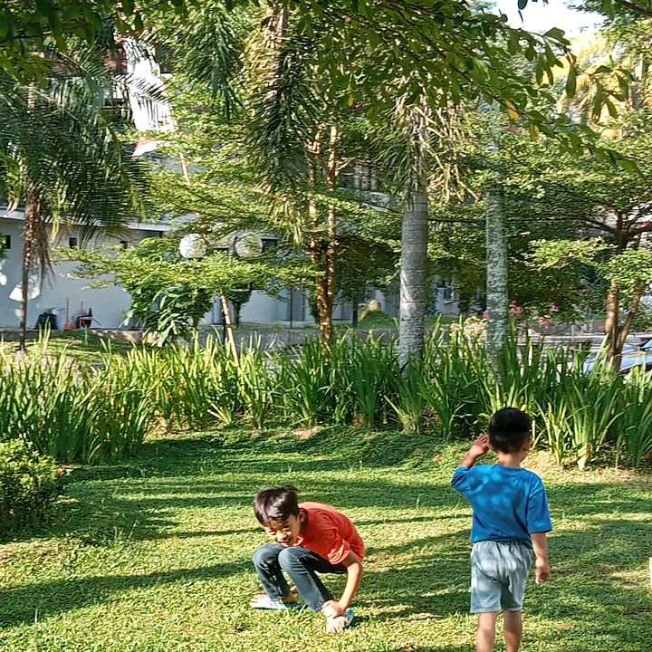 Profile Picture of Gtw siapa (@daviddghazalireal3) on Tiktok