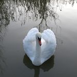 Profile Picture of Darren Patrick (@themadchef69) on Instagram