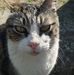 Profile Picture of Andrea Bartolucci (@andrea.bartolucci.587606) on Facebook