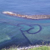 Profile Picture of Chjine Yao Tsai (@chjineyaotsai549) on Youtube