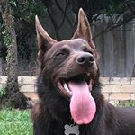 Profile Picture of Jacob Mulberry (@covid2020._) on Instagram