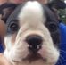 Profile Picture of Daniel Mannion (@daniel.mannion.3726) on Facebook