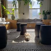 Profile Picture of Andrew Edmunds (@BodhiBeto) on Youtube