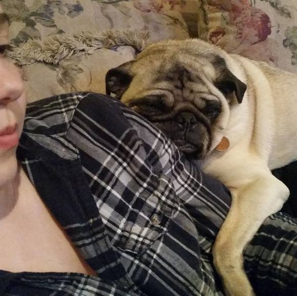 Profile Picture of Mike Jensen (@mikejensen181) on Poshmark