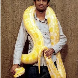 Profile Picture of Moin Ali (@greatrambler) on Myspace