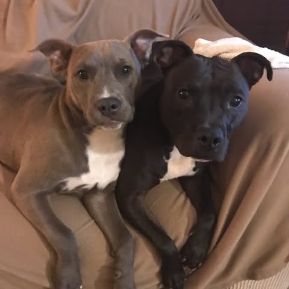 Kelly Houser - Poshmark Profile Picture of Kelly Houser (@kelkelx5) on Poshmark