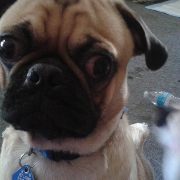 Profile Picture of Teri Abshire (@teriabshire) on Poshmark