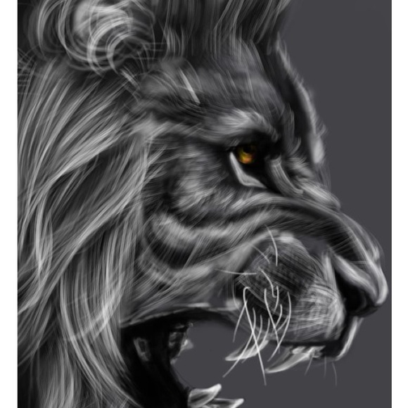 Profile Picture of Chris Bradley (@cbradley520) on Poshmark