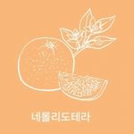 Profile Picture of 네롤리 도테라 권혜란 (@neroli.doterra) on Instagram