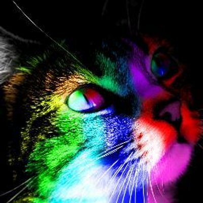 Profile Picture of Kevin Ede (@TheWunderWalrus) on Twitter