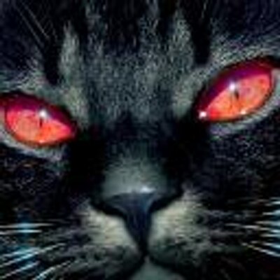 Profile Picture of Georgette Solomon (@GeorgetteSolo12) on Twitter