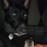 Profile Picture of Michelle Rakoske (@shellrak) on Instagram