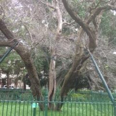 Profile Picture of Robert Hutcheon (@thehutcheons) on Twitter